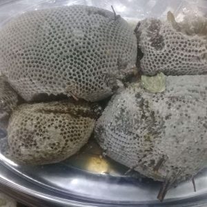 عسل طبیعی شاخه خرما جنوب