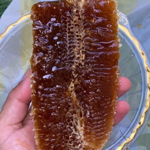 عسل وحشی و طبیعی کوهستان