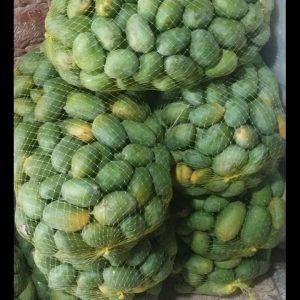 انبه سبز و نارس جنوب عمده پنج کیلوگرم